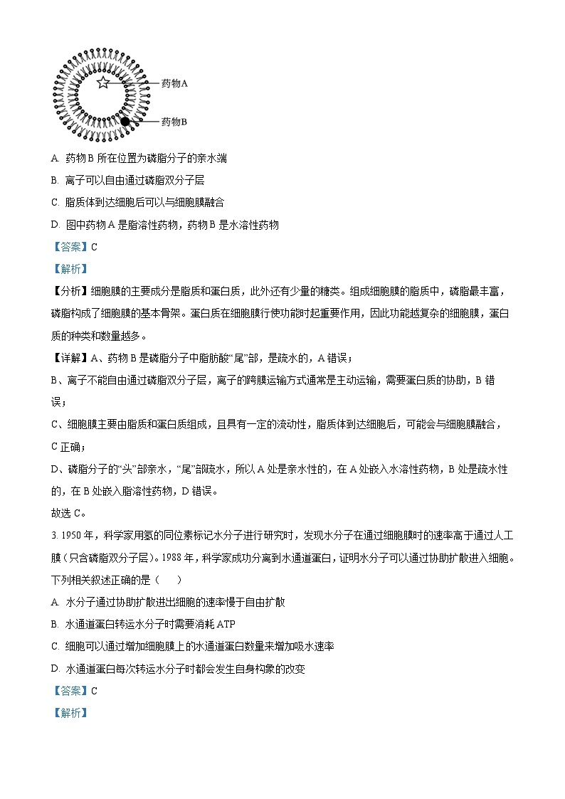 贵州省贵阳市第一中学2024届高三上学期适应性月考（二）生物02