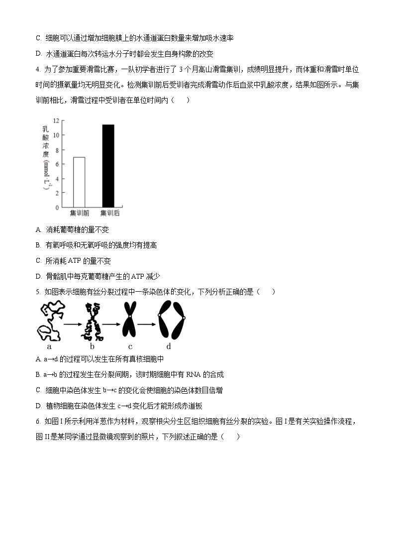 贵州省贵阳市第一中学2024届高三上学期适应性月考（二）生物02