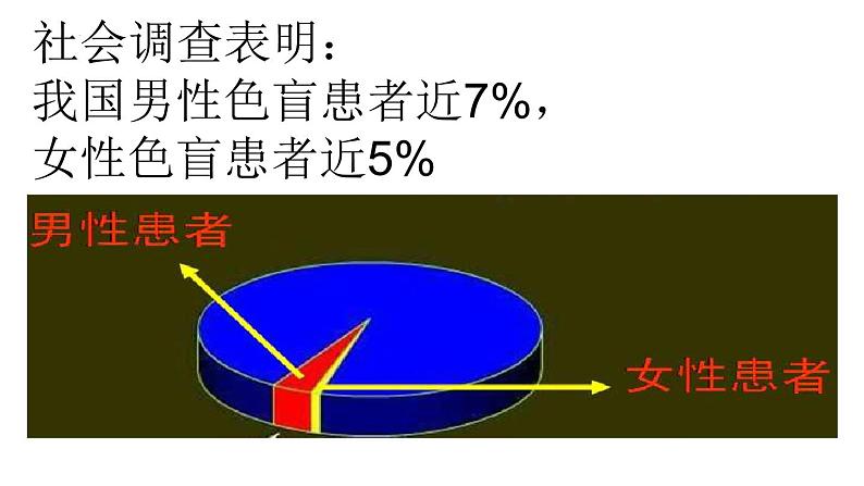 2.3 伴性遗传课件2021-2022学年高一下学期生物人教版必修202