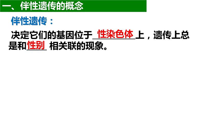 2.3 伴性遗传课件2021-2022学年高一下学期生物人教版必修203