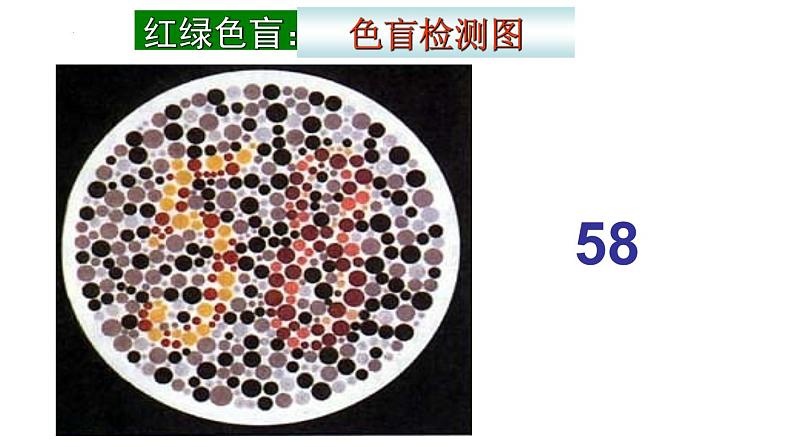 2.3 伴性遗传课件2021-2022学年高一下学期生物人教版必修206