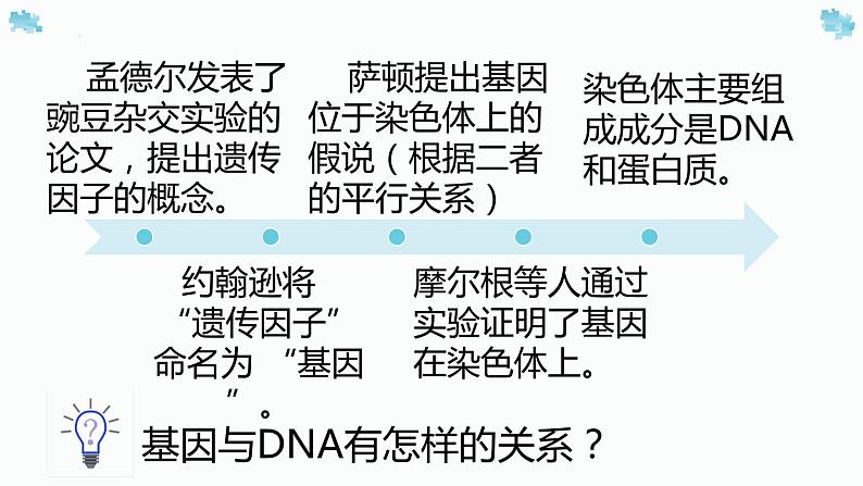 3.4基因通常是有遗传效应的dna片段课件2021-2022学年高一下学期生物人教版必修2第3页