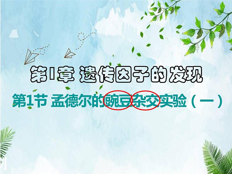 1.1孟德尔的豌豆杂交实验(一)课件-2022-2023学年高一下学期生物人教版(2019)必修2第3页