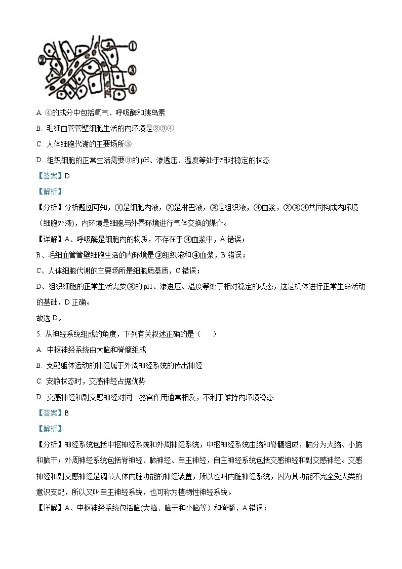 【期中真题】天津市耀华中学2021-2022学年高二上学期期中生物试题.zip03