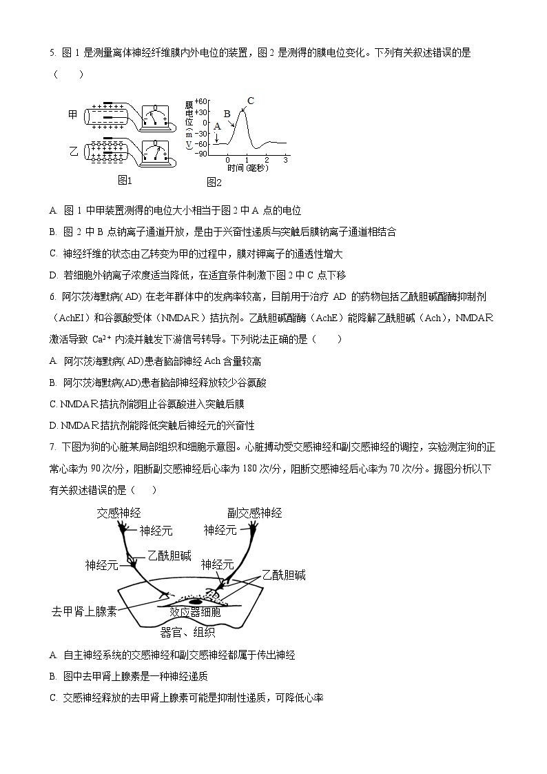 【期中真题】山东师范大学附中2022-2023学年高二上学期期中学业水平测试生物试题.zip02