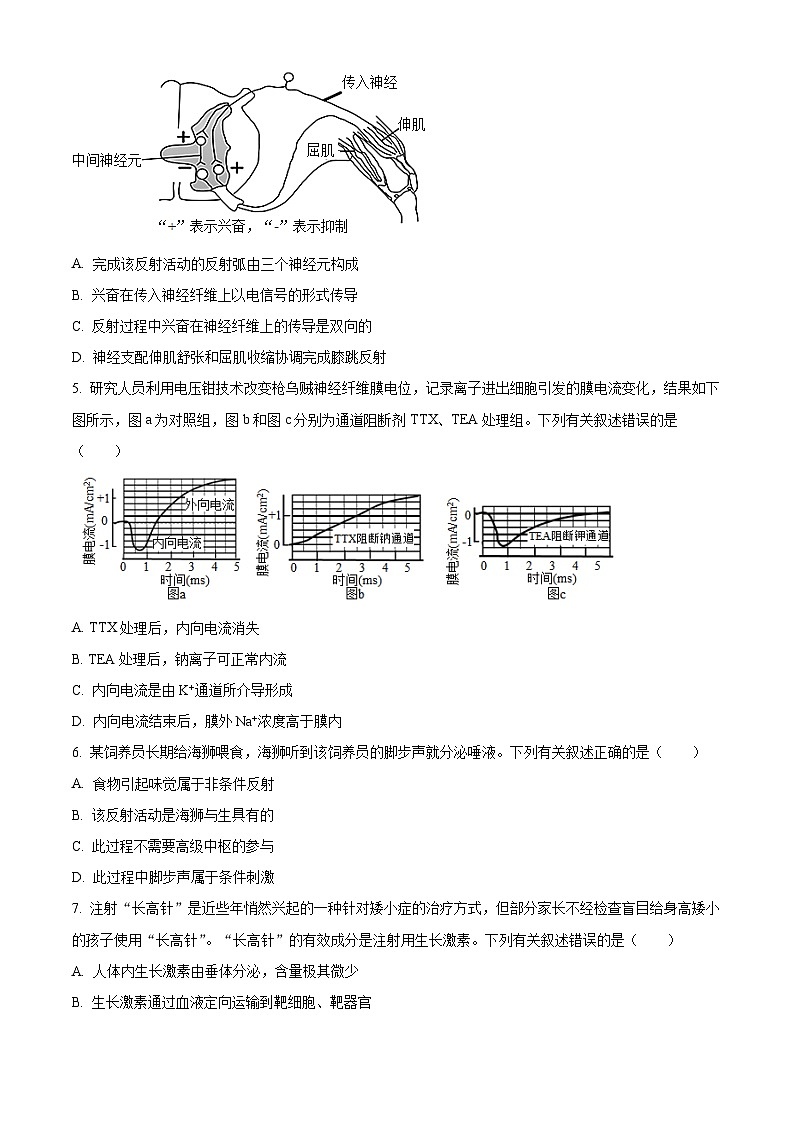 【期中真题】江苏省苏州市2021-2022学年高二上学期期中生物试题(原卷版)第2页