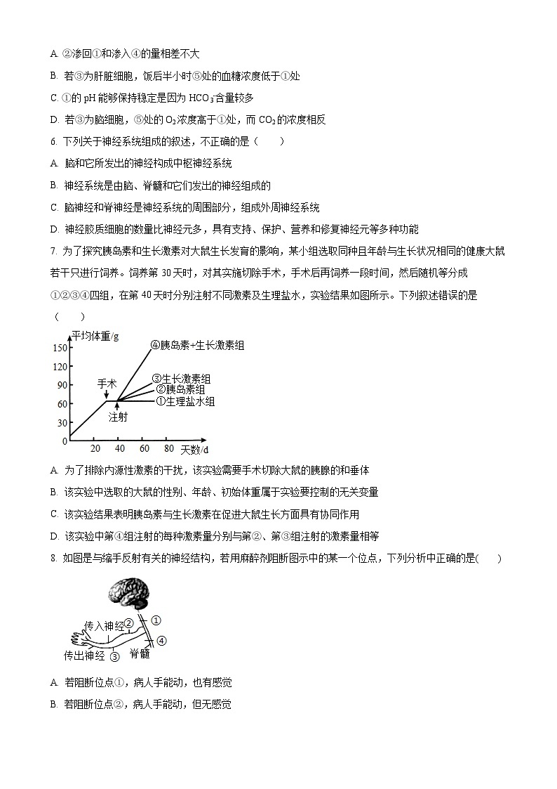 【期中真题】辽宁省沈阳市协作体2022-2023学年高二上学期期中生物试题.zip02