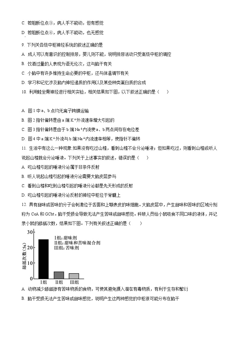 【期中真题】辽宁省沈阳市协作体2022-2023学年高二上学期期中生物试题.zip03