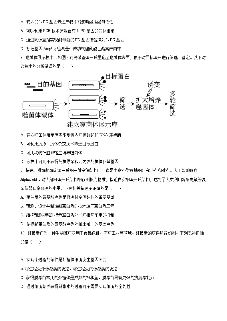 【期中真题】北京市四中2022-2023学年高三上学期期中生物试题03