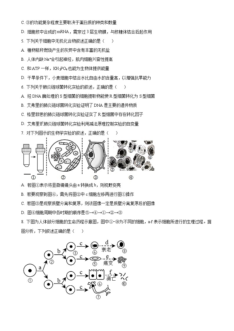 【期中真题】天津市五校2022-2023学年高三上学期期中联考生物试题(原卷版)第2页