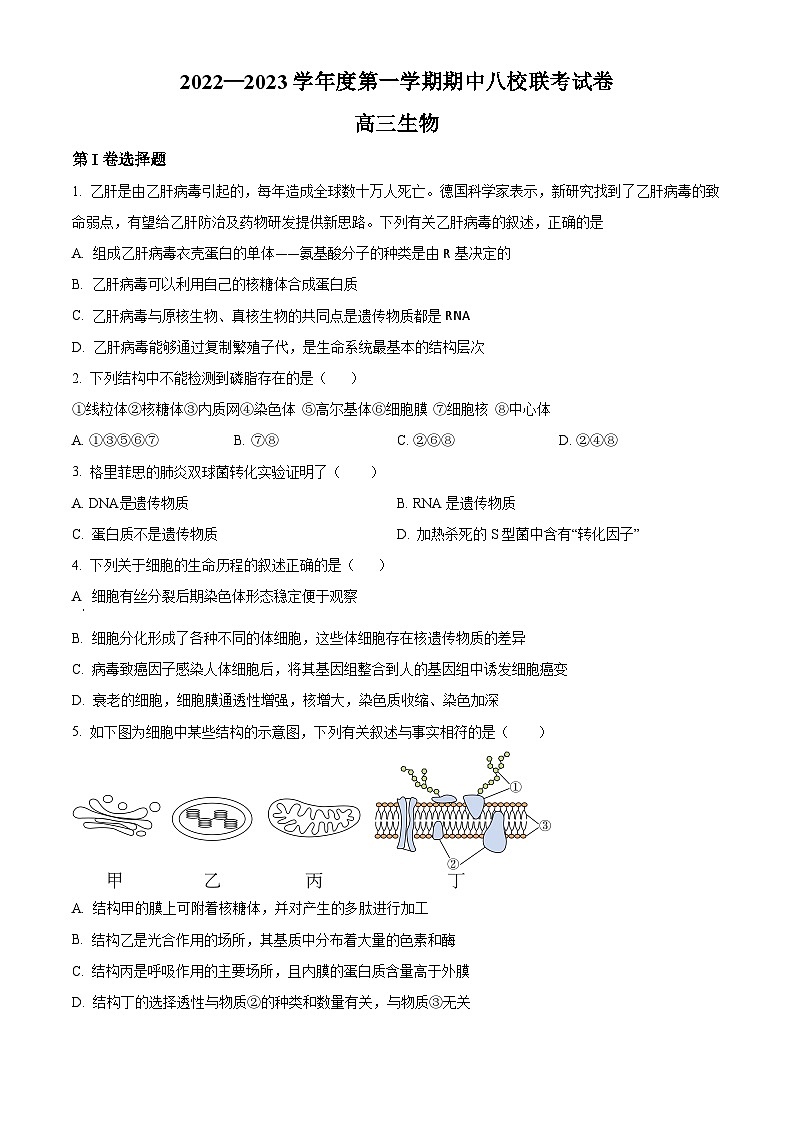 【期中真题】天津市八校联考2022-2023学年高三上学期期中生物试题(原卷版)第1页