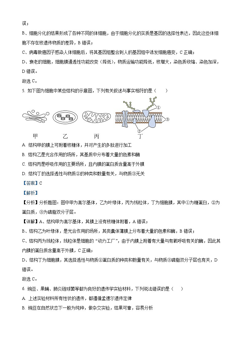 【期中真题】天津市八校联考2022-2023学年高三上学期期中生物试题(解析版)第3页