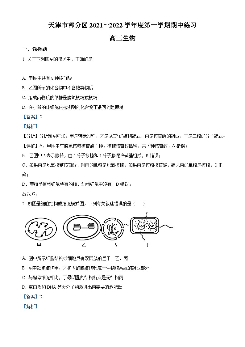 【期中真题】天津市部分区2021-2022学年高三上学期期中练习生物试题(解析版)第1页