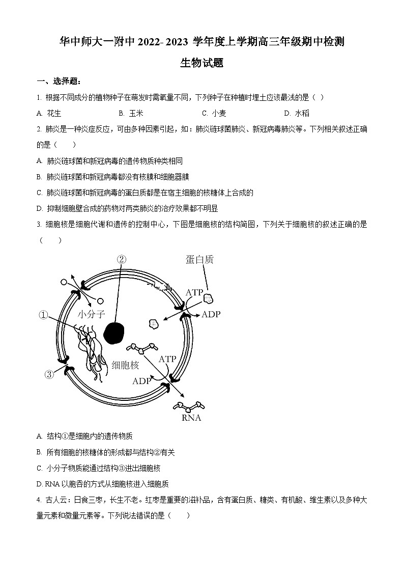 【期中真题】湖北省武汉市华中师范大学第一附属中学2022~2023学年高三上学期期中生物试题01