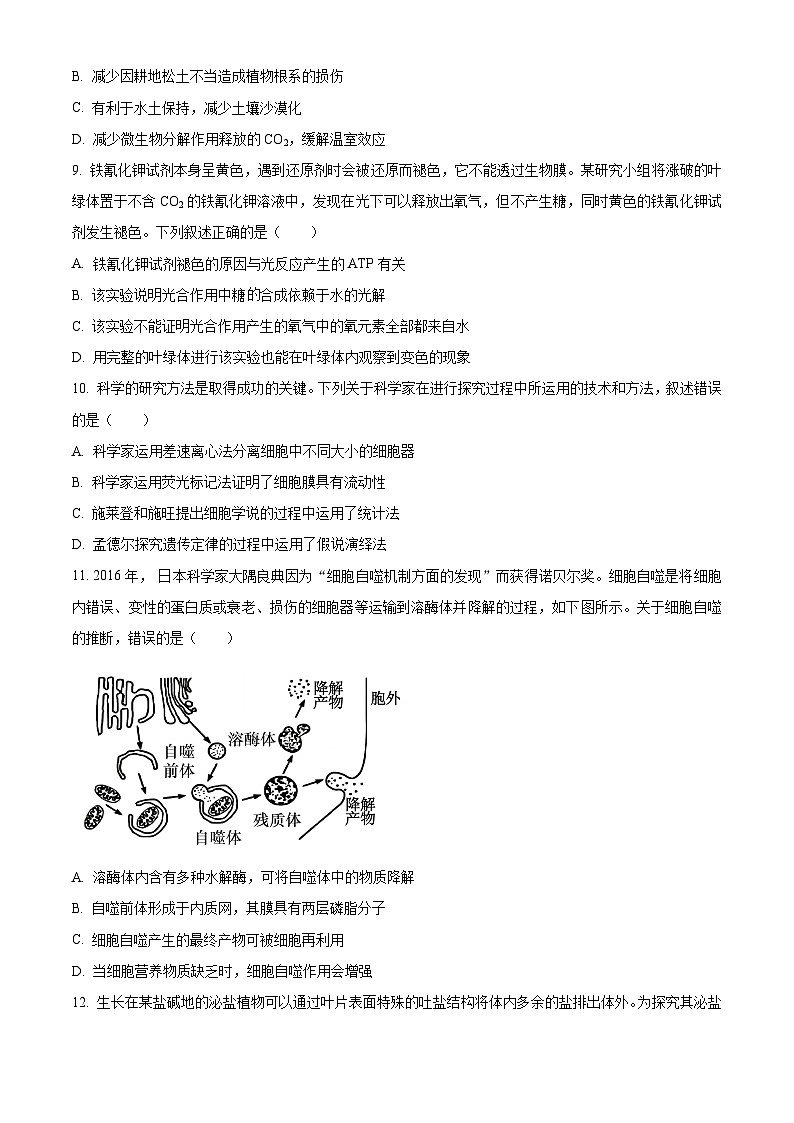【期中真题】湖北省武汉市华中师范大学第一附属中学2022~2023学年高三上学期期中生物试题03