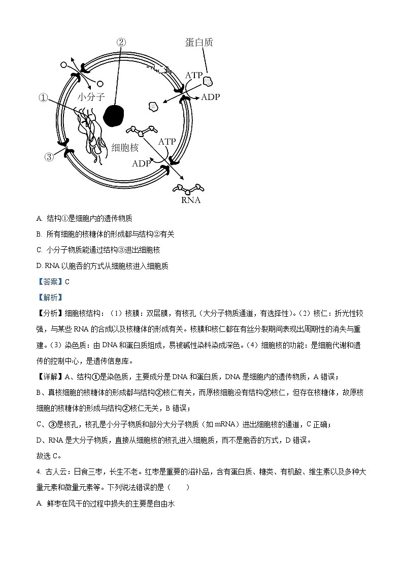 【期中真题】湖北省武汉市华中师范大学第一附属中学2022~2023学年高三上学期期中生物试题02
