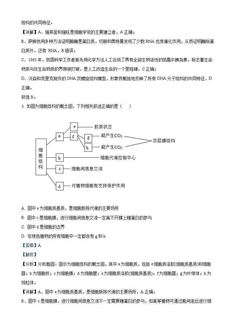 【期中真题】甘肃省兰州市西北师大附中2022-2023学年高三上学期期中生物试题(解析版)第2页