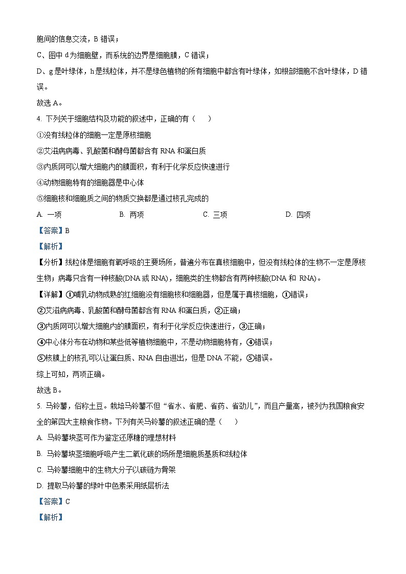 【期中真题】甘肃省兰州市西北师大附中2022-2023学年高三上学期期中生物试题(解析版)第3页