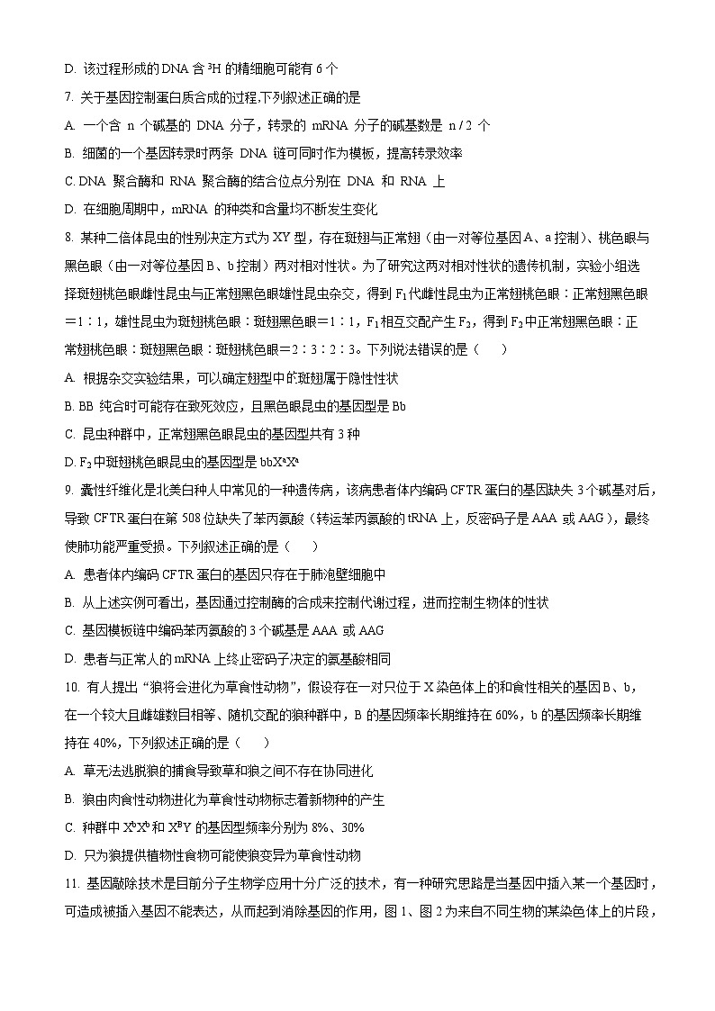 【期中真题】辽宁省实验中学2022-2023学年高三上学期期中生物试题(原卷版)第3页
