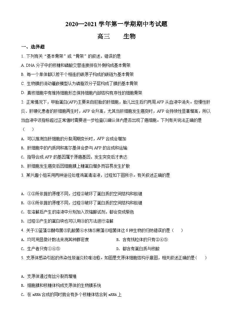 【期中真题】重庆市八中2021-2022学年高三上学期期中生物试题(原卷版)第1页