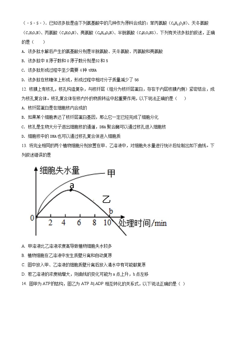 【期中真题】重庆市八中2021-2022学年高三上学期期中生物试题(原卷版)第3页