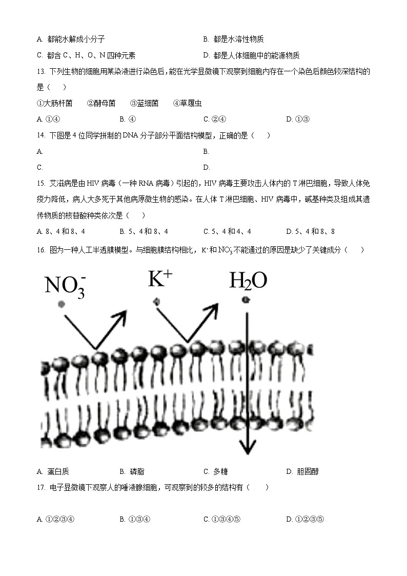 【期中真题】上海市某校2021-2022学年高一上期中生物试题(原卷版)第3页