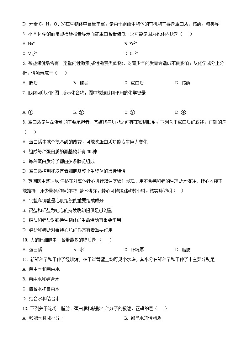 【期中真题】上海市某校高一上期中生物试题02