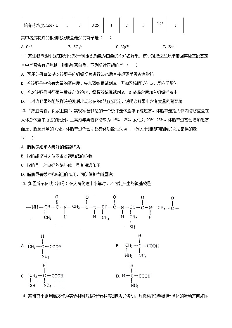【期中真题】云南省玉溪市一中2022-2023学年高一上学期期中生物试题(原卷版)第3页