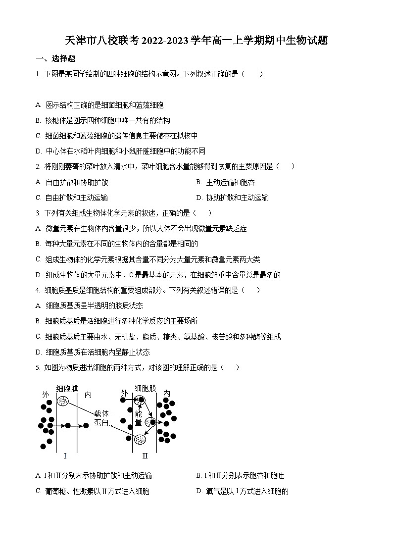 【期中真题】天津市八校联考高一上学期期中生物试题01