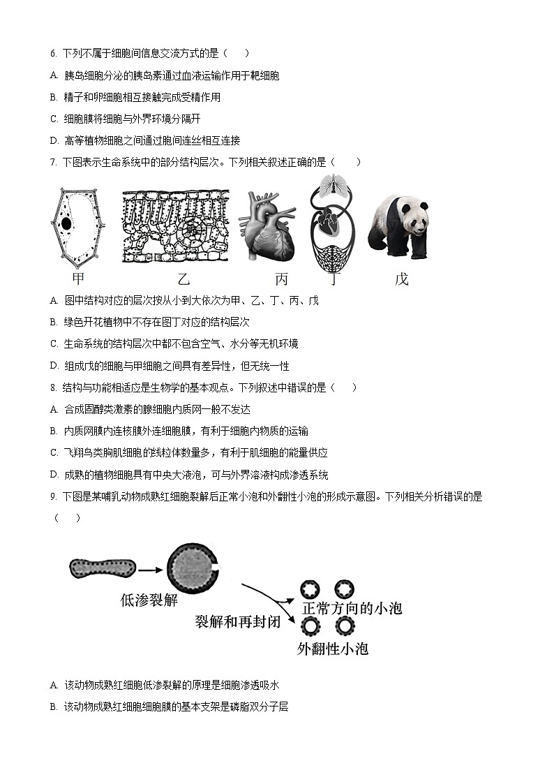 【期中真题】天津市八校联考高一上学期期中生物试题02