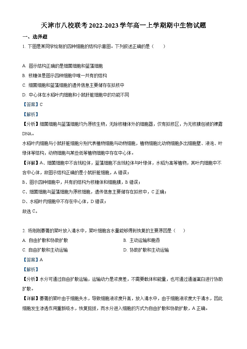【期中真题】天津市八校联考高一上学期期中生物试题01