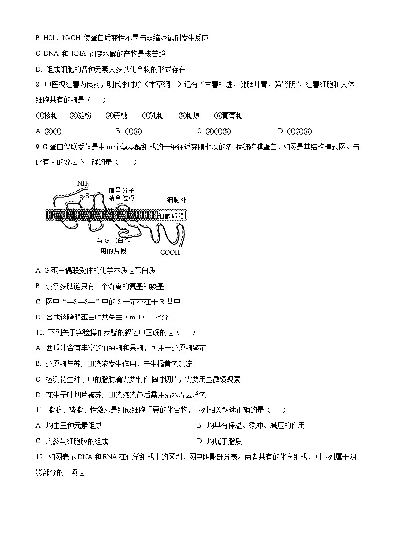 【期中真題】天津市耀華中學(xué)2022-2023學(xué)年高一上學(xué)期期中調(diào)研生物試題（原卷版）第2頁