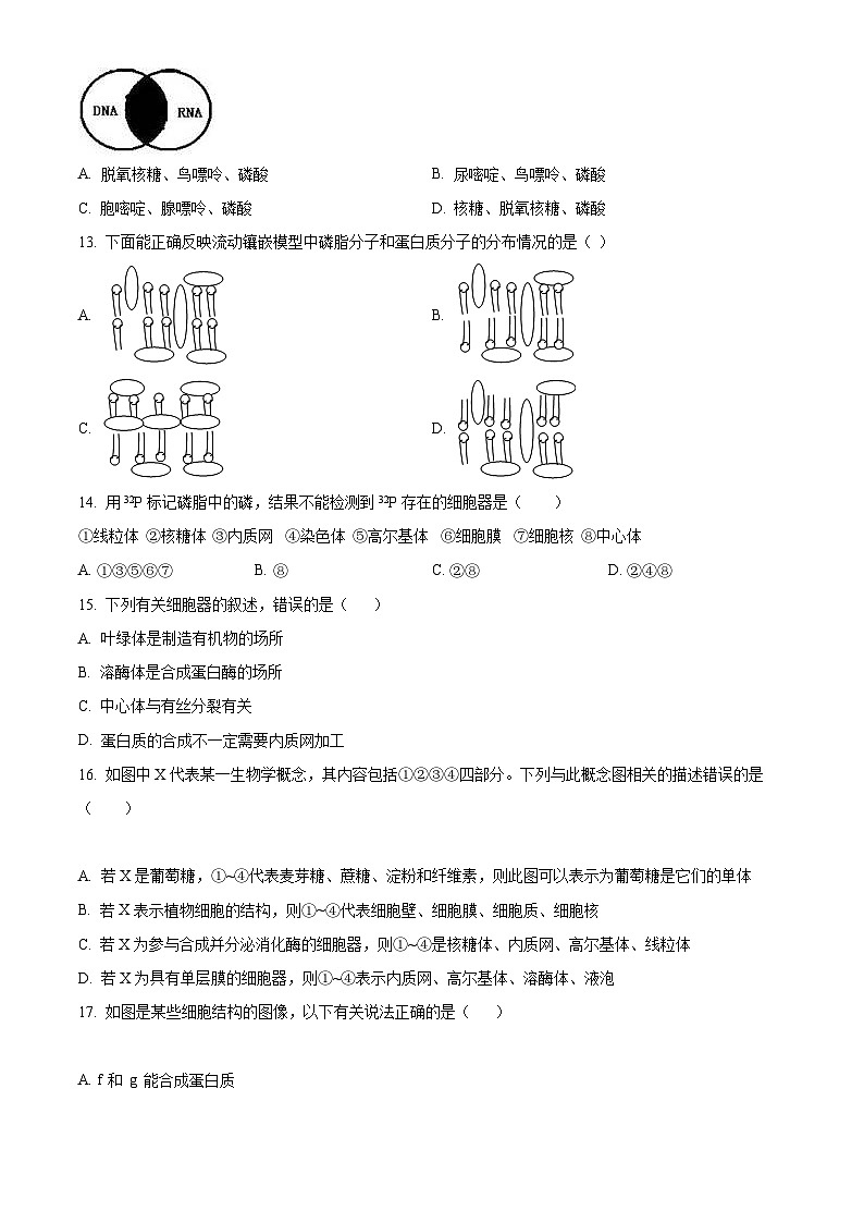 【期中真題】天津市耀華中學(xué)2022-2023學(xué)年高一上學(xué)期期中調(diào)研生物試題（原卷版）第3頁