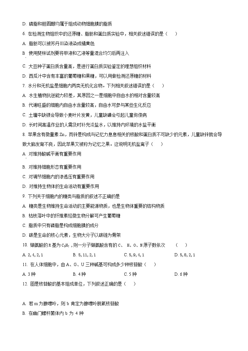 【期中真题】宁夏吴忠中学高一上学期期中生物试题02