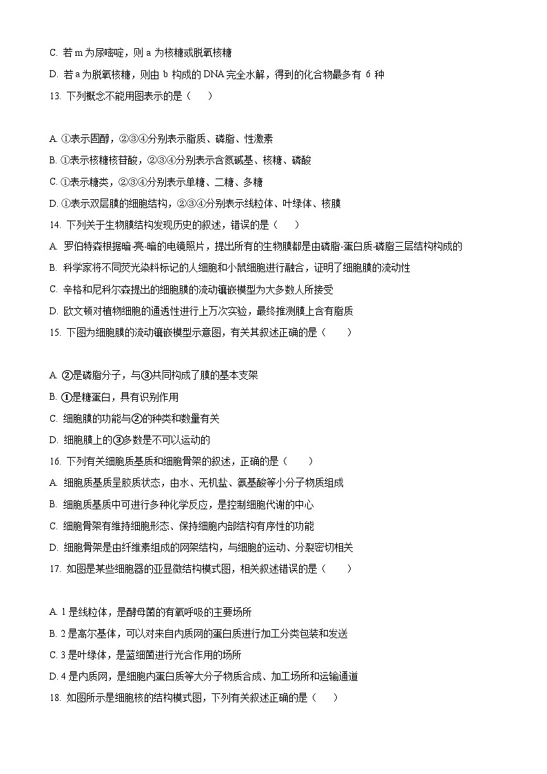 【期中真题】宁夏吴忠中学高一上学期期中生物试题03