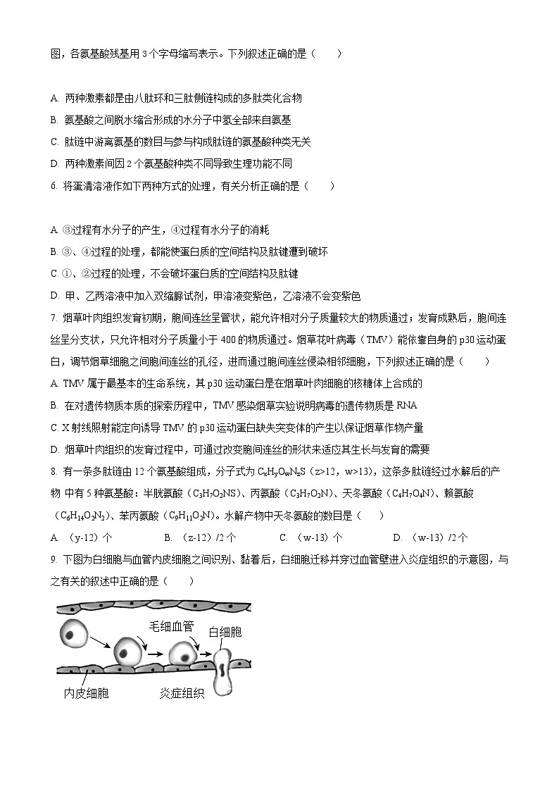 【期中真题】安徽省安庆市一中2022-2023学年高一上学期期中考试生物试题.zip02