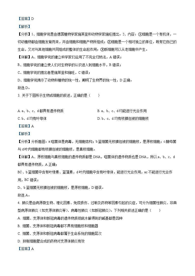【期中真题】新疆乌鲁木齐市八中高一上学期期中生物试题02