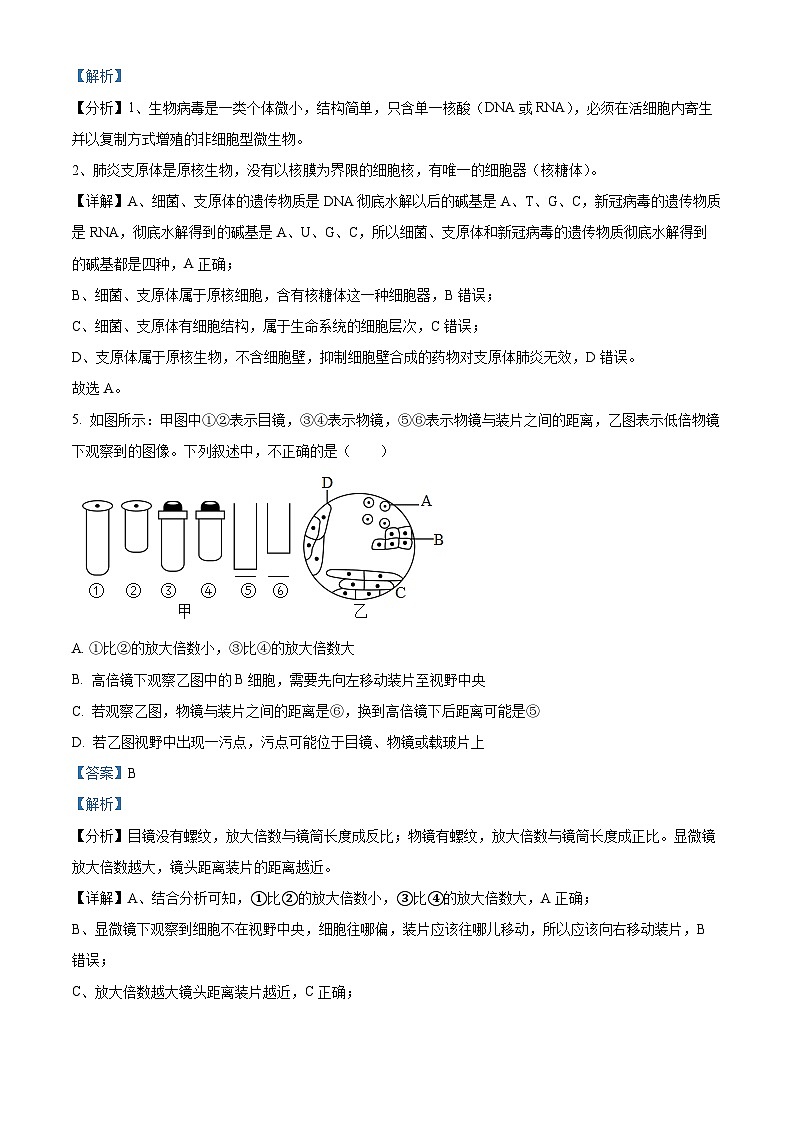 【期中真题】新疆乌鲁木齐市八中高一上学期期中生物试题03