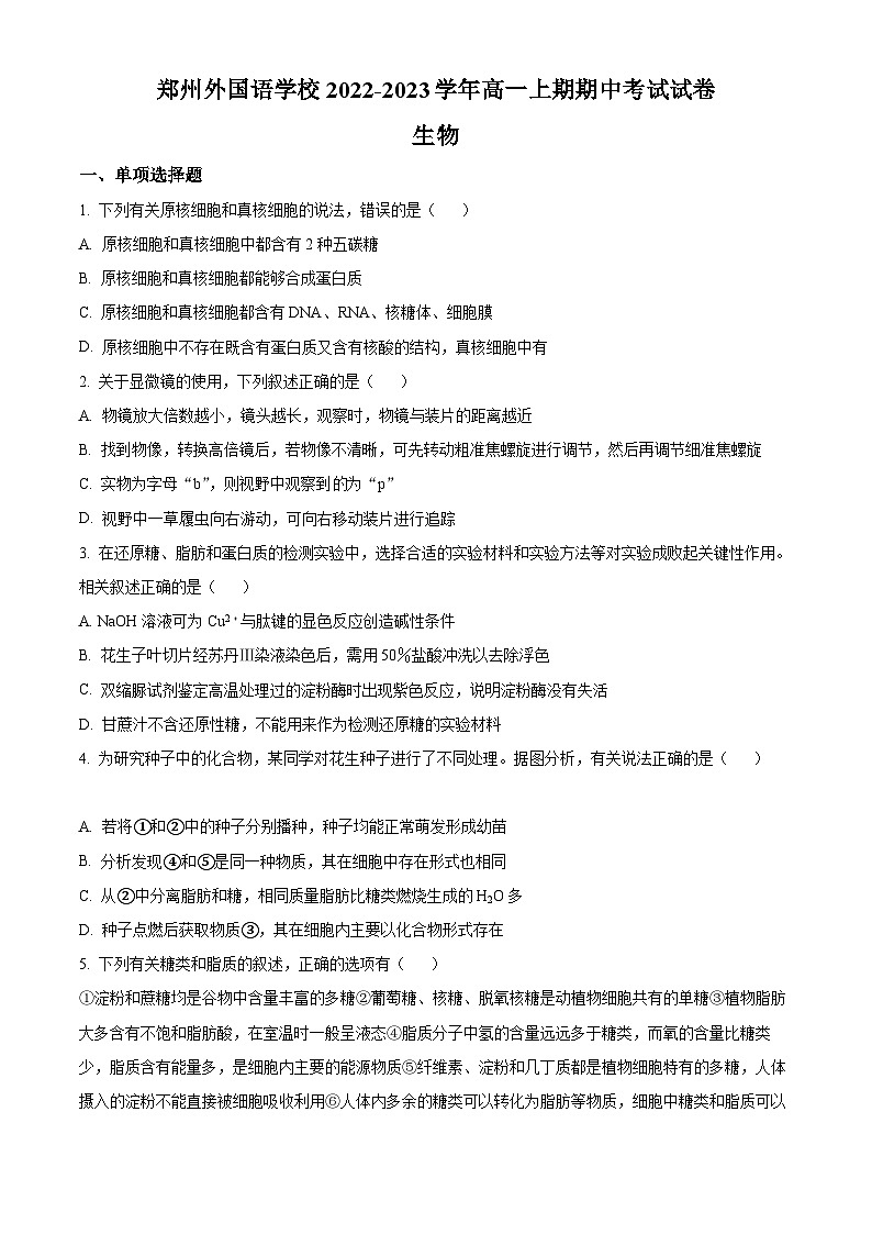 【期中真题】河南省郑州市外国语学校高一上学期期中生物试题01