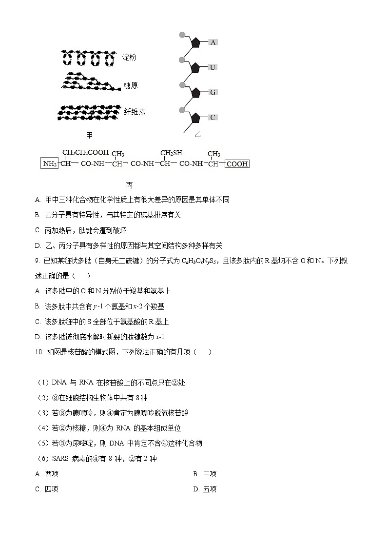 【期中真题】河南省郑州市外国语学校高一上学期期中生物试题03