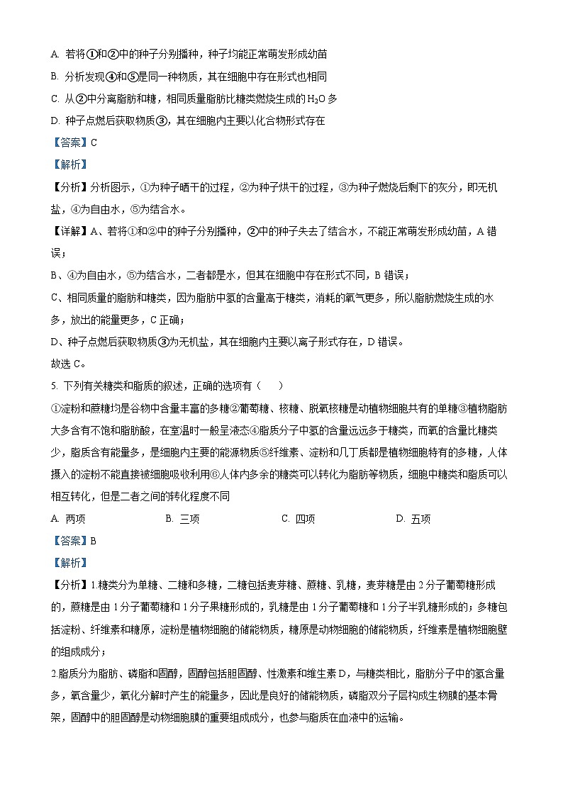 【期中真题】河南省郑州市外国语学校高一上学期期中生物试题03