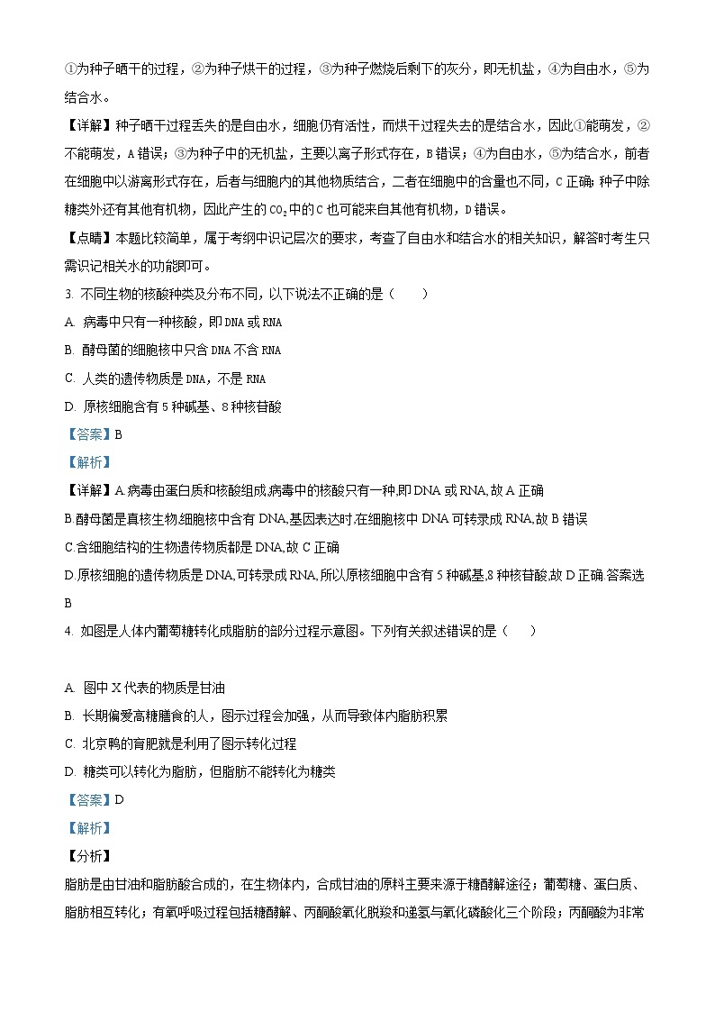 【期中真题】湖北省武汉外国语学校2022-2023学年高一上学期期中模拟生物试题（选择题）.zip02