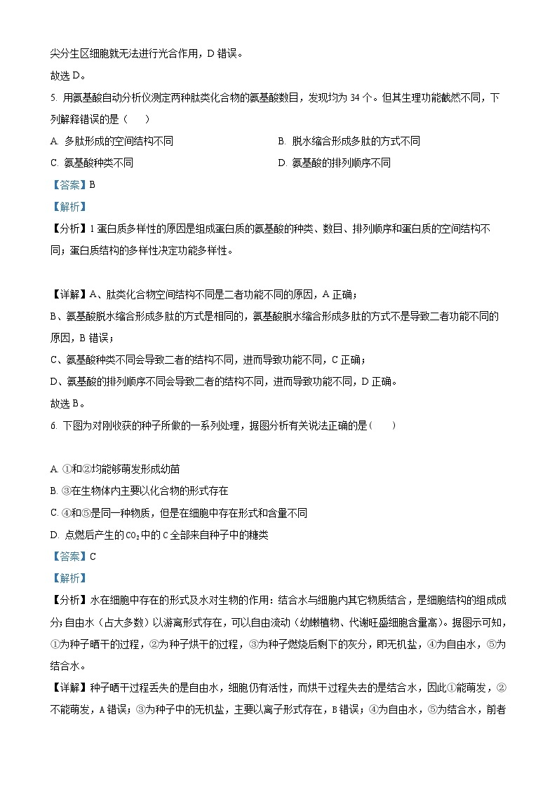 【期中真题】湖南省长沙市雅礼中学2022-2023学年高一上学期期中生物试题.zip03