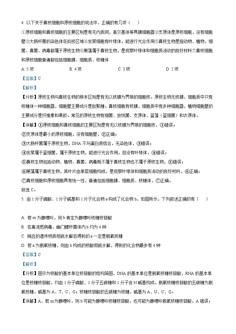 【期中真题】甘肃省兰州市一中学2022-2023学年高一上学期期中生物试题.zip03
