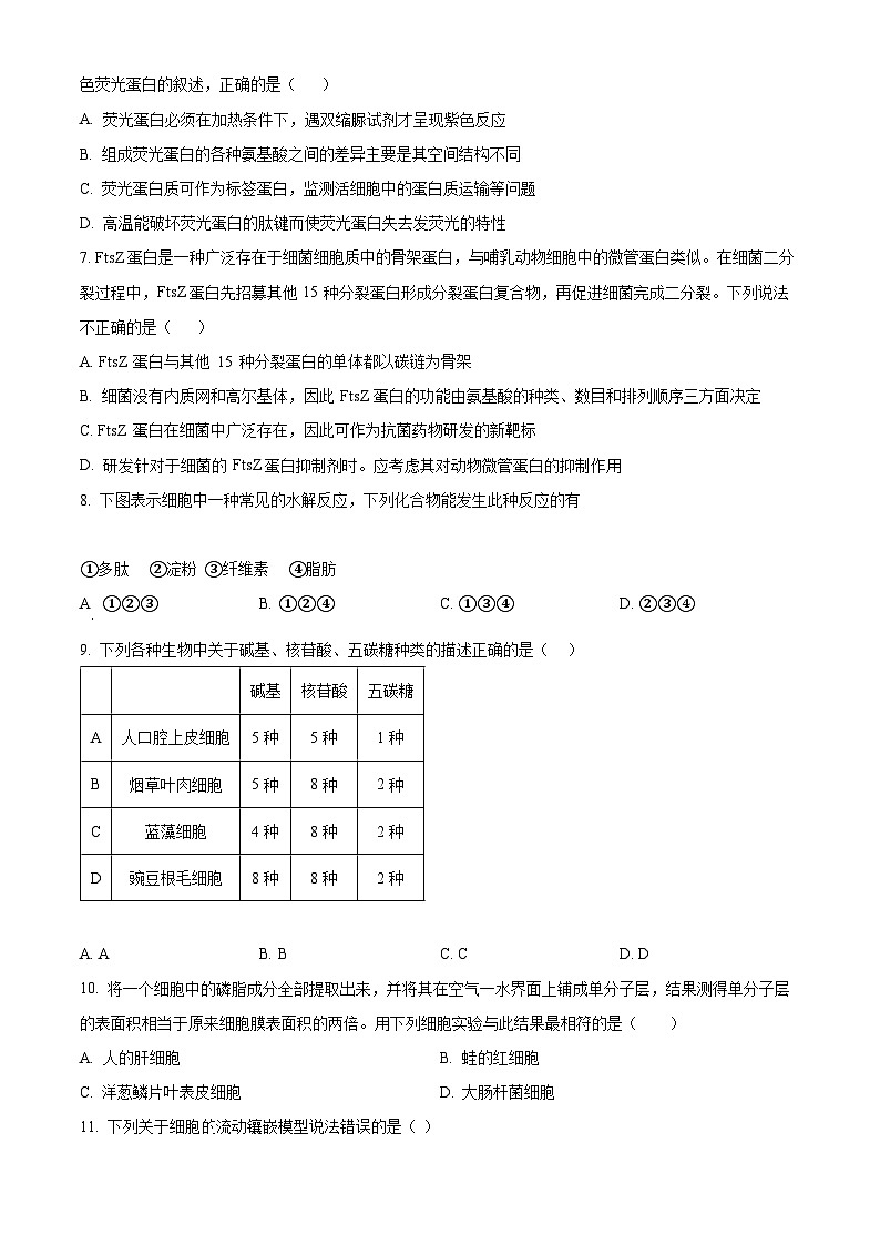 【期中真题】福建省厦门市双十中学高一上学期期中生物试题02