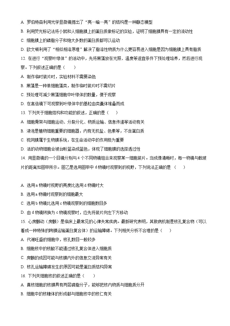 【期中真题】福建省厦门市双十中学高一上学期期中生物试题03