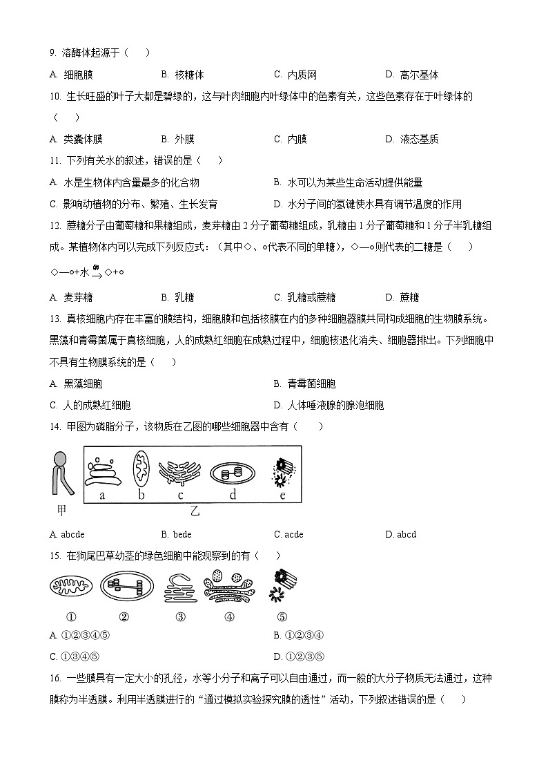 浙江省嘉兴市海盐高级中学2023-2024学年高一10月阶段测生物试题无答案第2页