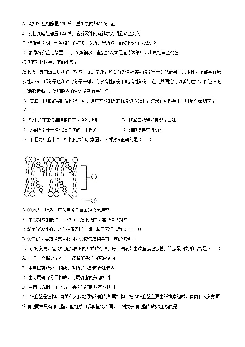 浙江省嘉兴市海盐高级中学2023-2024学年高一10月阶段测生物试题无答案第3页