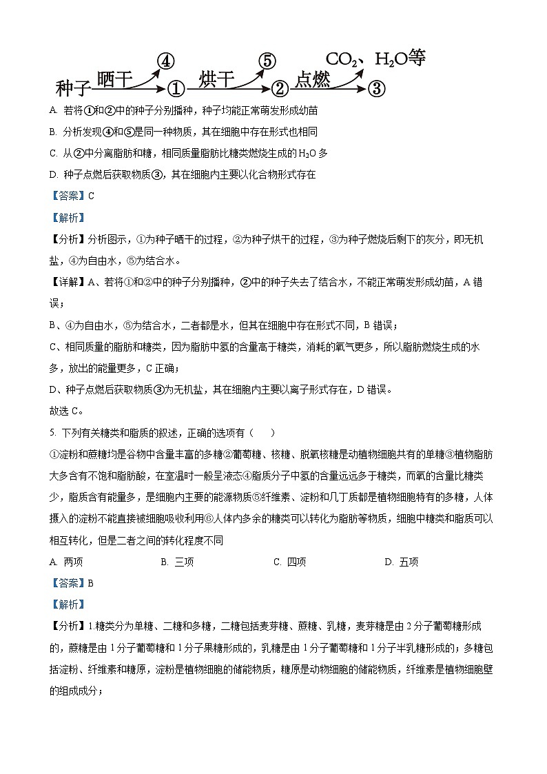 河南省郑州市外国语学校2022-2023学年高一生物上学期期中试题(Word版附解析)03