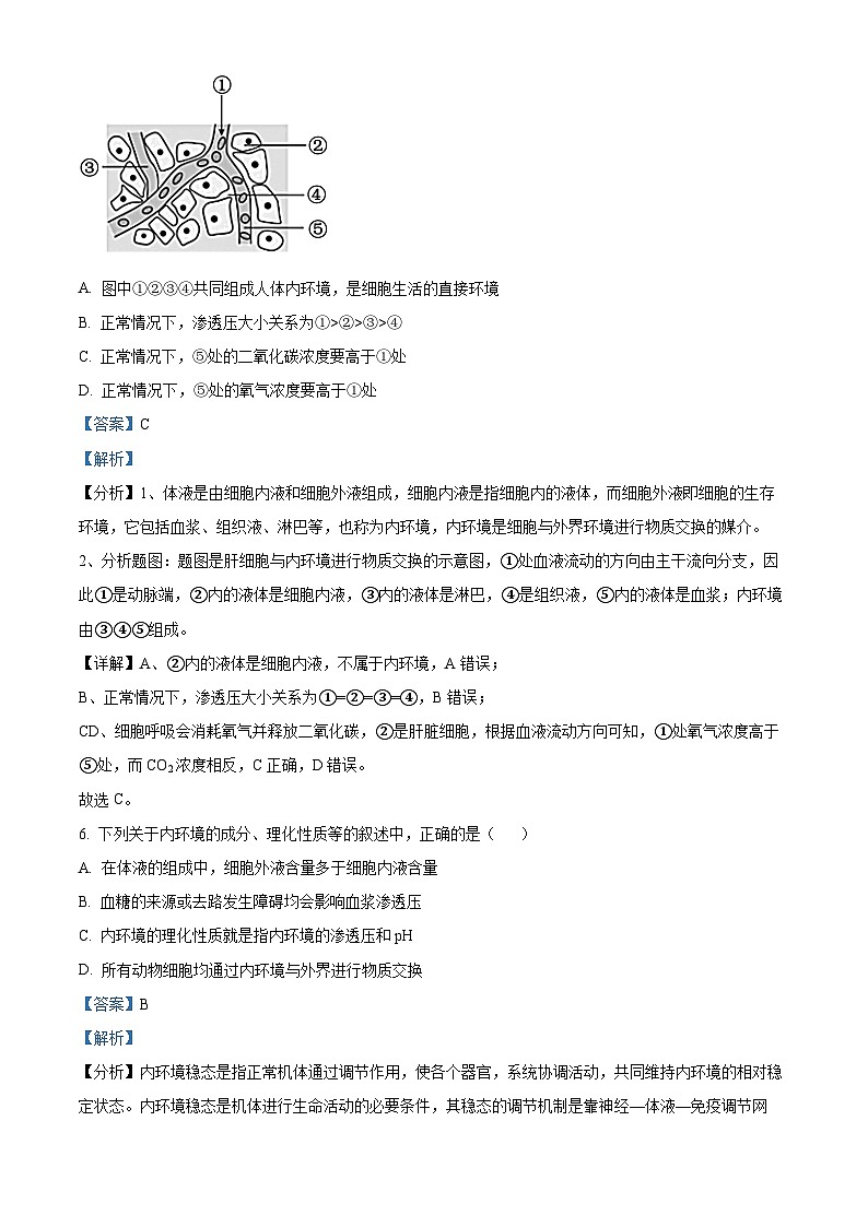 黑龙江省牡丹江市二中2023-2024学年高二生物上学期10月第一次月考试题(Word版附解析)第3页